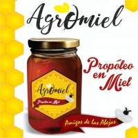 Propoleo Miel 250 ml.